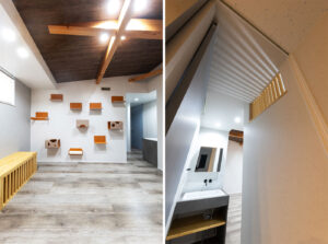 清水区の猫と暮らす家